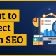 What to Expects from SEO