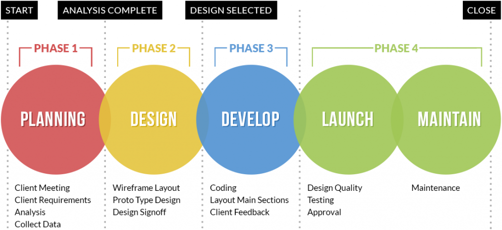 Website Design Process