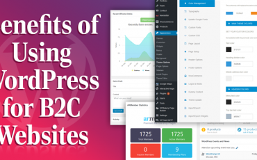 Using WordPress for B2C Websites