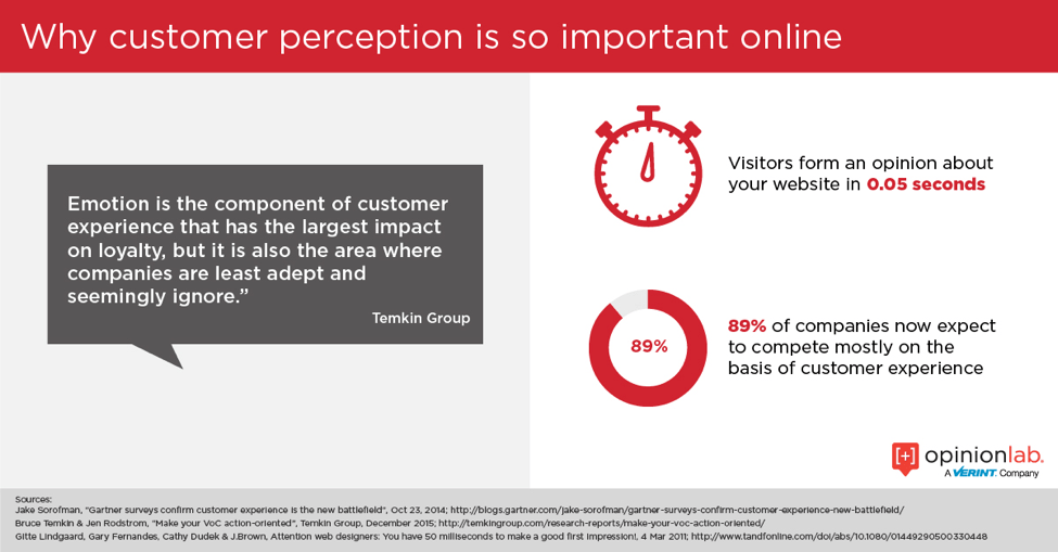 Importance of Online Customer Perception Infographic