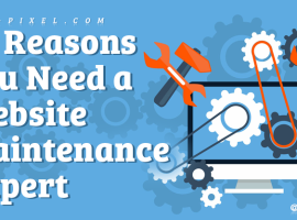Website Maintenance Expert