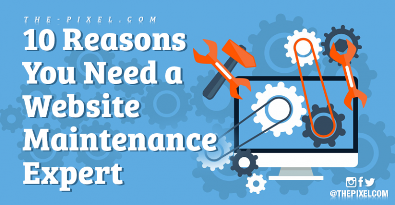 Website Maintenance Expert