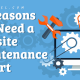 Website Maintenance Expert