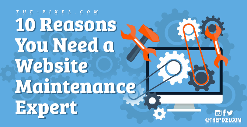 Website Maintenance Expert