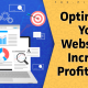 Optimizing Your Website to Increase Profitability