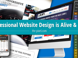 Professional Website Design Service