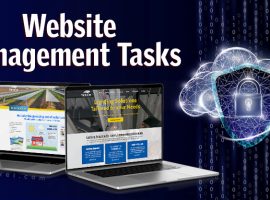Website Management