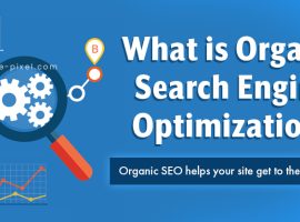 What is Organic Search Engine Optimization