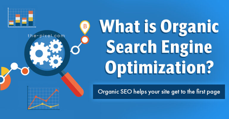 What is Organic Search Engine Optimization