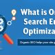 What is Organic Search Engine Optimization