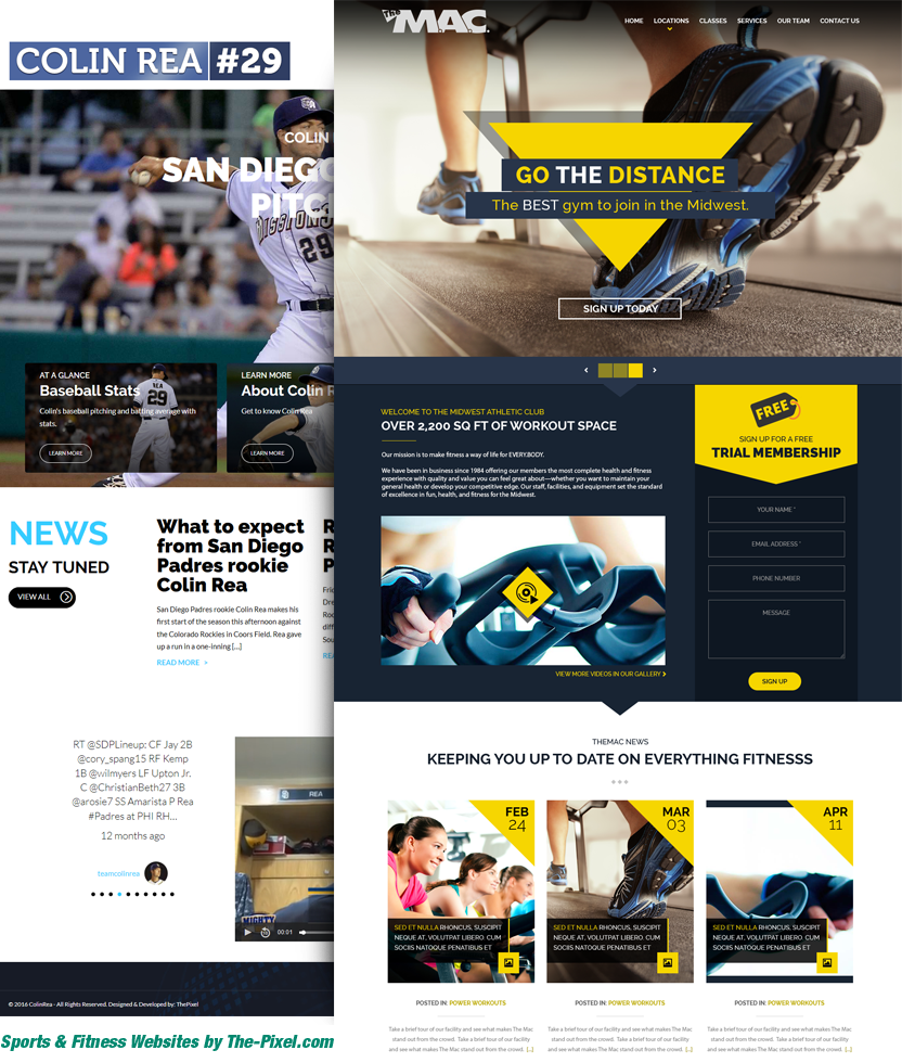 Sports and Fitness Website Designs